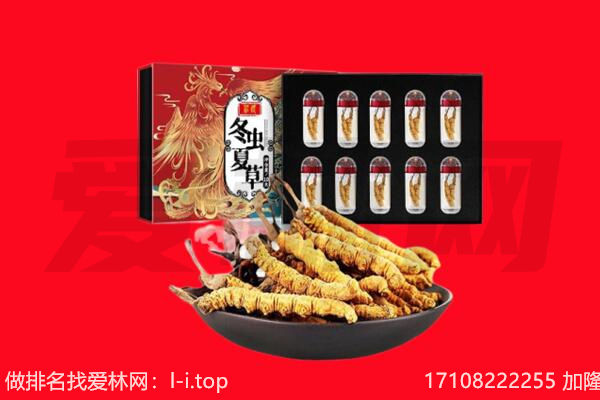 临沧市耿马回收虫草.jpg